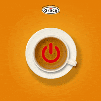 GIF by Grace Foods 