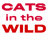 Cats Wildcats Sticker by Linfield University