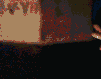 fox news dancing GIF by Josh Rigling