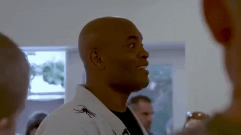 anderson silva wow GIF by UFC