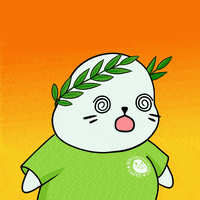 Fun Wow GIF by Sappy Seals Community