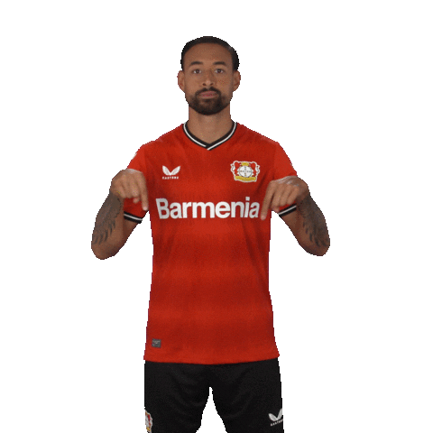 Look Down Its You Sticker by Bayer 04 Leverkusen