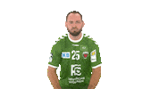 Handball-Bundesliga Show Sticker by LIQUI MOLY HBL