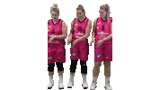 Sport Basketball Sticker by Basket_fi