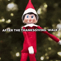 Thanksgiving Day Walk GIF by Respective