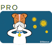 El Salvador Sivar Sticker by Banco CUSCATLAN