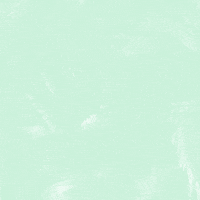 PvdARotterdam  GIF