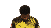 Look Up Borussia Dortmund Sticker by Bundesliga