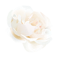 Flower Sticker by elan_cafe