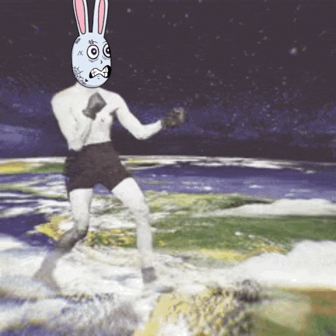 Busk_Algorand giphyupload meme memecoin algo GIF