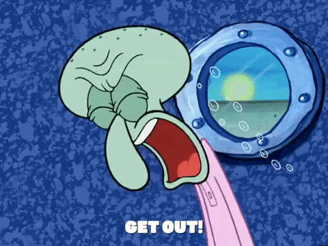 season 5 to love a patty GIF by SpongeBob SquarePants