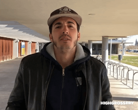 Like It Yes GIF by High Grossery
