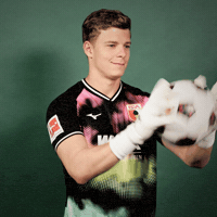 Bundesliga Finn GIF by FC Augsburg 1907