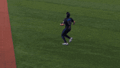 Blue Jays Mlb GIF by Toronto Blue Jays