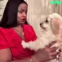 Suspicious Dog GIF