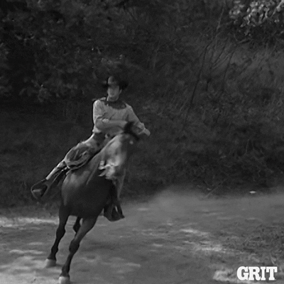 Black And White Horse GIF by GritTV