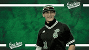 Emueagles Emubaseball GIF by EMU Athletics