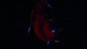 Glowing Vampire Squid GIF by OctoNation® The Largest Octopus Fan Club!