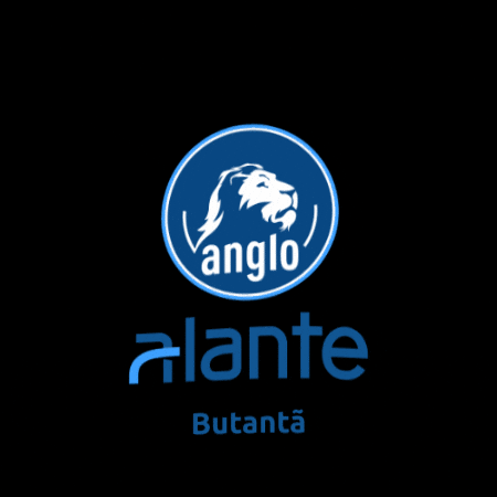 Anglo Alante GIF by Conectar Educadores