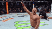 Mixed Martial Arts Fighting GIF by UFC