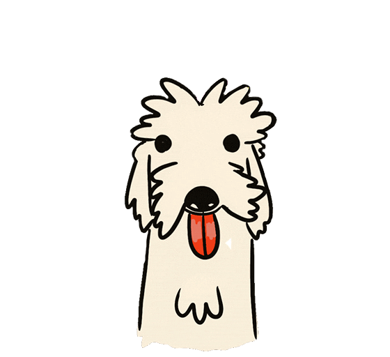 franciscopandozea giphyupload lamer new dog frijol day Sticker