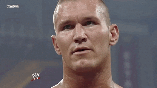 Randy Orton Sport GIF by WWE