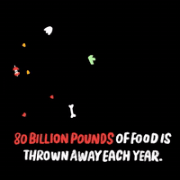 80 Billion Pounds Of Food Is Wasted Each Year