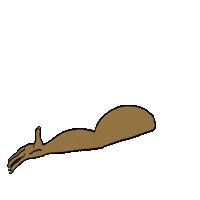 fitness gym Sticker by SHAPE Magazine