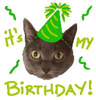 Cat Birthday Sticker