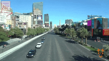 Las Vegas Summer GIF by The Goat Agency