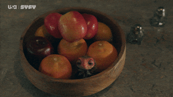 Alan Tudyk GIF by USA Network