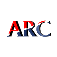 Lady Liberty Sneakers Sticker by American Rag Cie ME