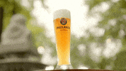 Happy Fun GIF by Paulaner