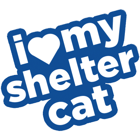 Cat Dog Sticker by Hill's Pet Nutrition