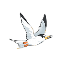 Bird 鳥 Sticker