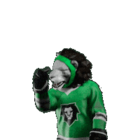 Hockey Hokej Sticker by Tipsport extraliga