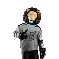 Hockey Vary Sticker by Tipsport extraliga