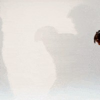 Jj Sparkman GIF by Texas Tech Football