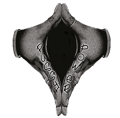 Pussy Power Sticker by Heavenly Recordings