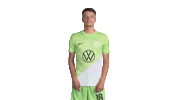 Germany Football Sticker by VfL Wolfsburg