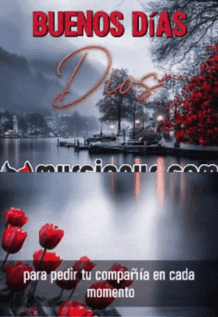 En Tus Manos Flores GIF by Murcianys LLC