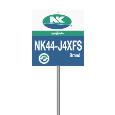 nkseeds_us corn harvest nk yield Sticker