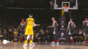 Happy Regular Season GIF by NBA