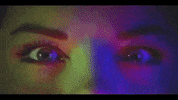 I See Rainbow GIF by Arrow Academy