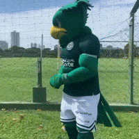 Goiasec GIF