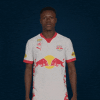 Football Sport GIF by FC Red Bull Salzburg