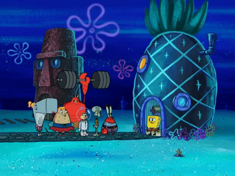 season 8 spongebob's runaway roadtrip: a squarepants family vacation GIF by SpongeBob SquarePants
