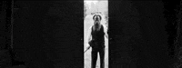 sub pop church GIF by Sub Pop Records
