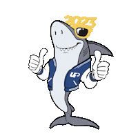 Celebrating New Year Sticker by Universidad del Pacífico Paraguay