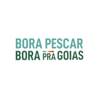 Viagem Sticker by Goiás Turismo